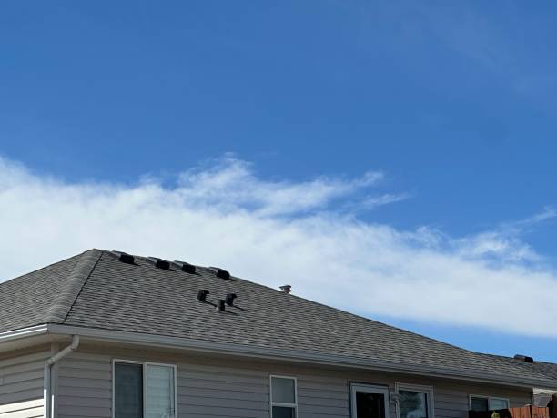 Best Gutter Installation and Repair  in Nroe City, MO